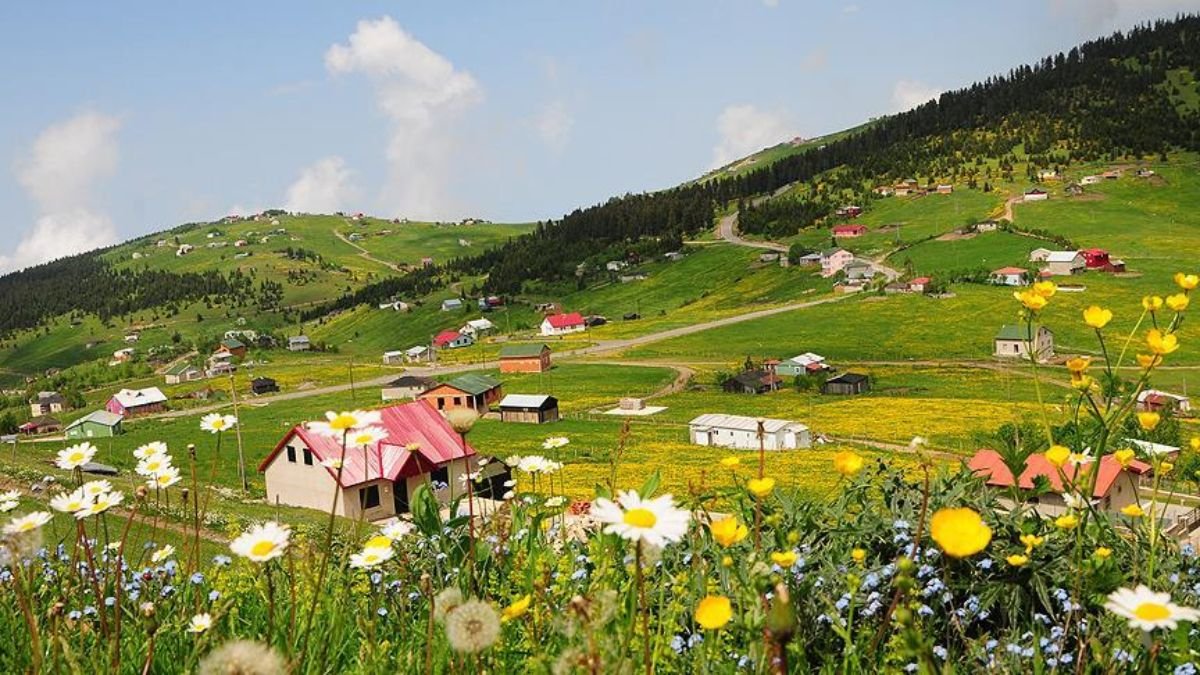 Temiz hava, oksijen demeyin! Yaylaya çıkmak da zararlı çıktı…